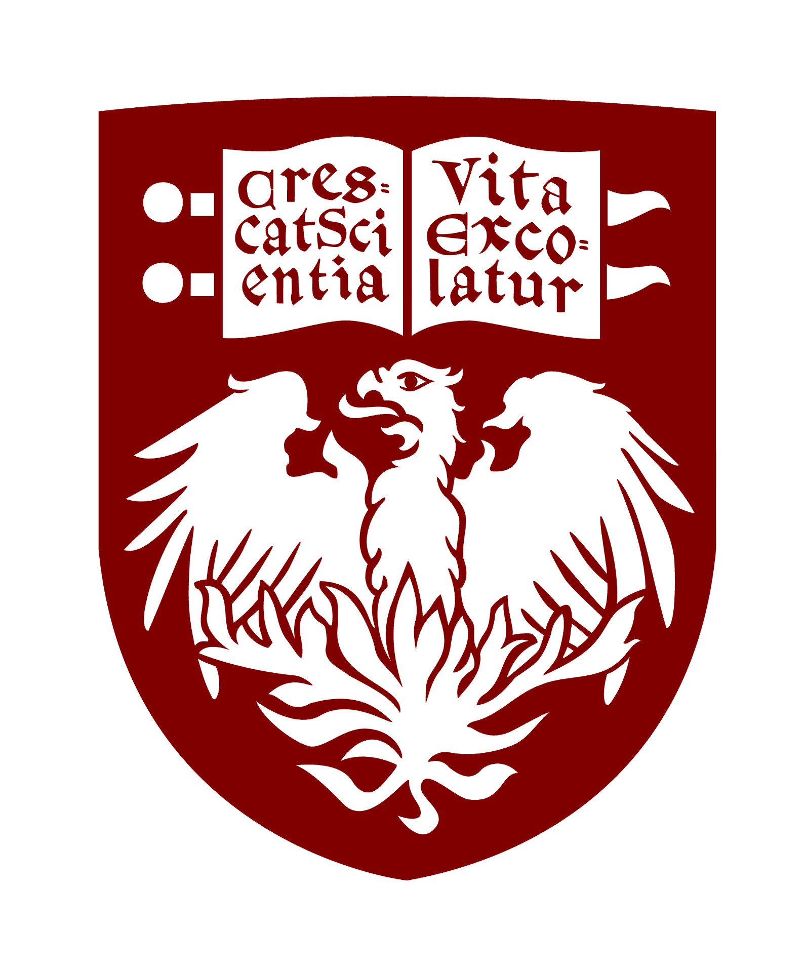 University of Chicago Medicine